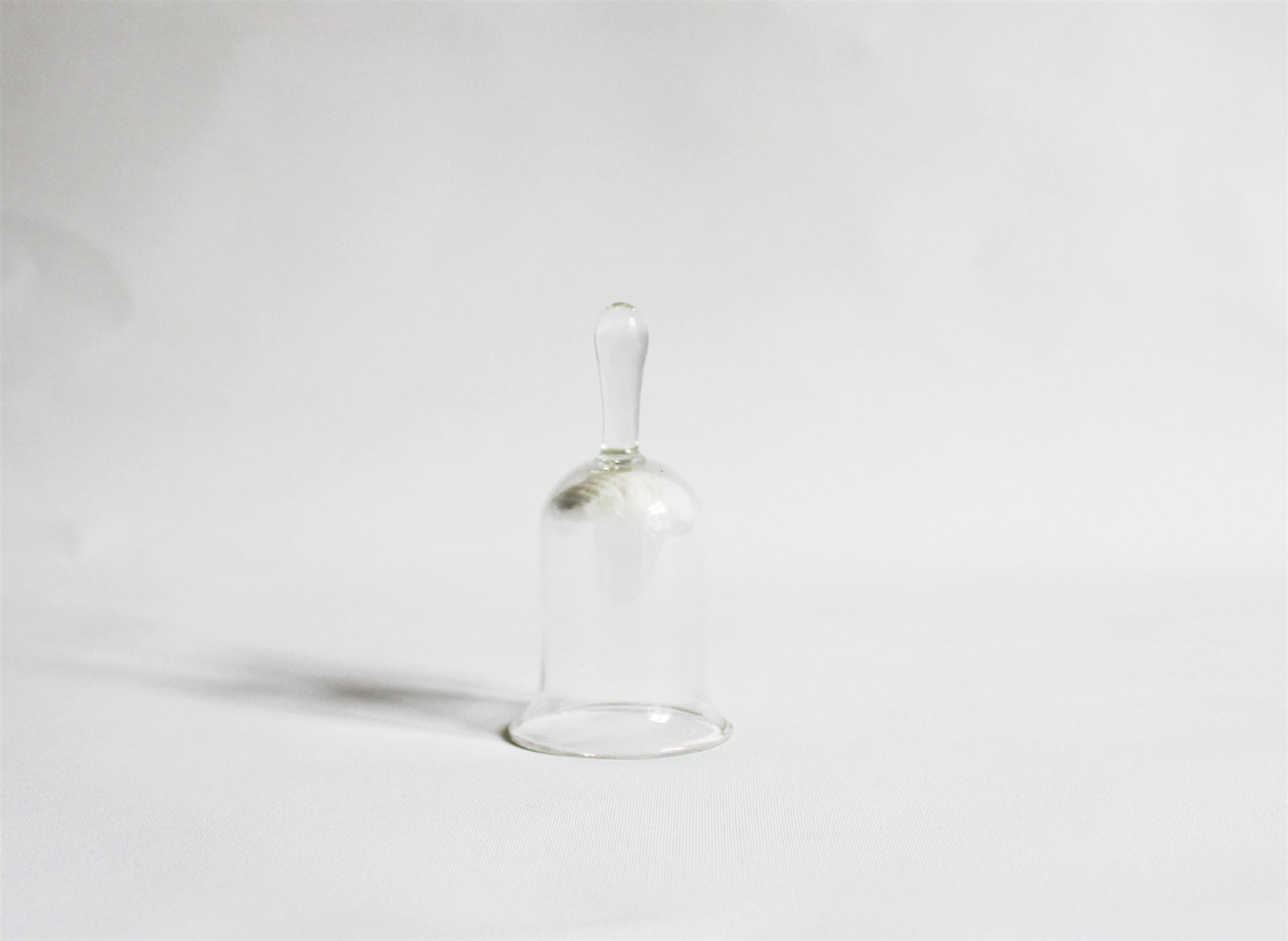 Maria Nitulescu, De Rerum Natura bell detail
