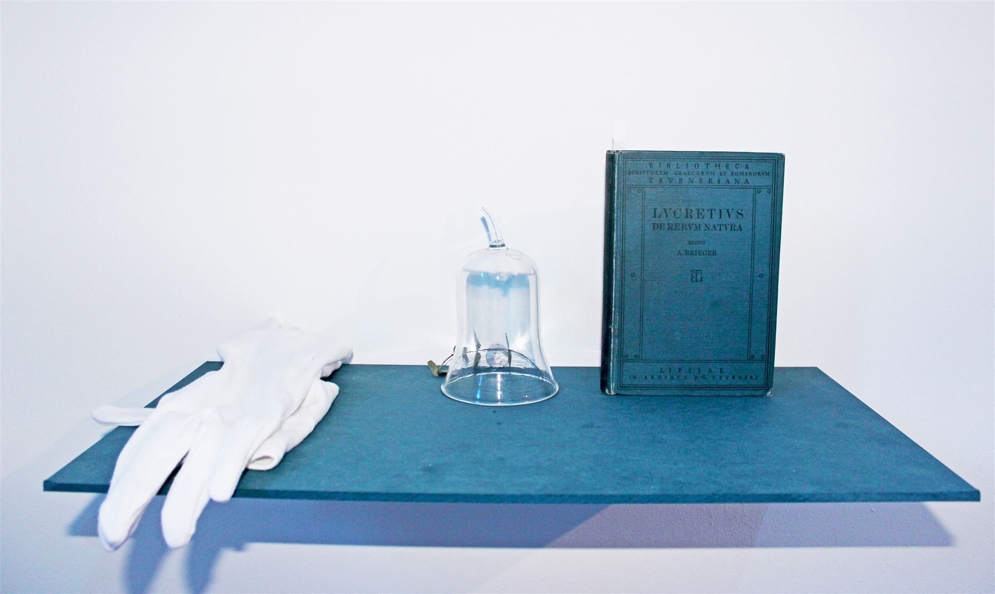 Maria Nitulescu, De Rerum Natura installation