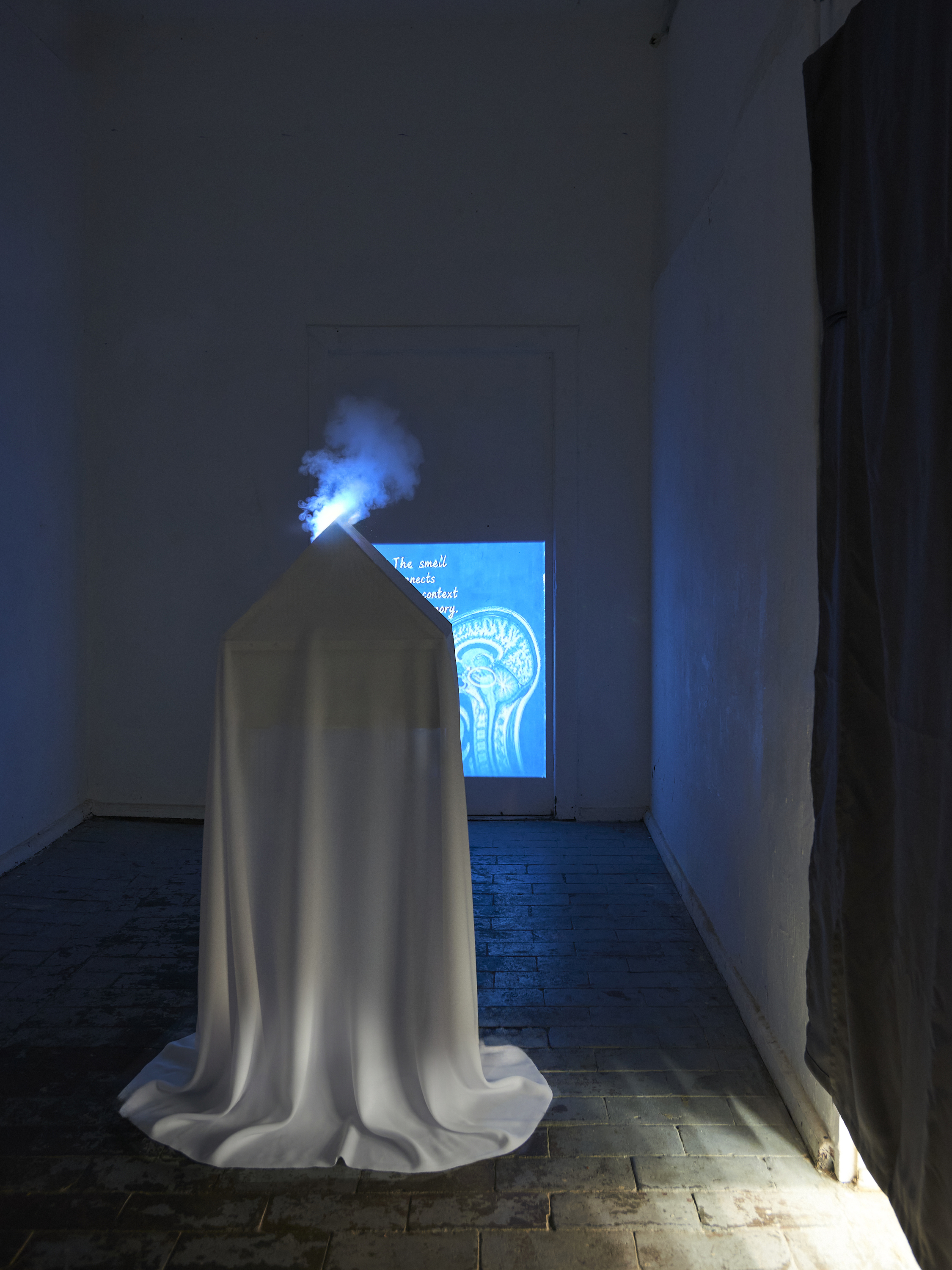 "Heimat", installation still with projected text and brain scan imagery, "From Molecule to Memory" within "TRACES OF MEMORY", Kunstfabrik HB55, Berlin, 2026