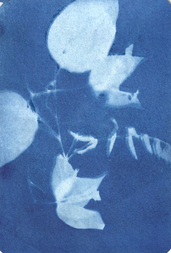 Maria Nitulescu, Open Studio, Lange Nacht der Bilder 2026