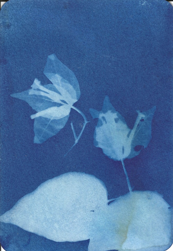Maria Nitulescu, Open Studio, Lange Nacht der Bilder 2026