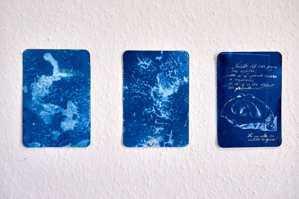 Maria Nitulescu, Open Studio, Lange Nacht der Bilder 2026