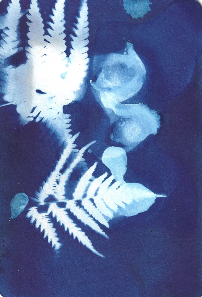 Maria Nitulescu, Open Studio, Lange Nacht der Bilder 2026
